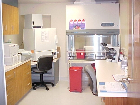 In-House Microbiology Lab
